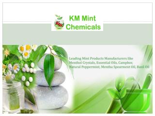 Menthol Crystal Manufacturers