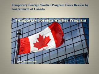 Temporary Foreign Worker Program Faces Review by Government of Canada