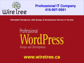 Affordable Wordpress, Web Design and Development Service in Toronto | WireTree
