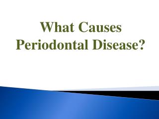 What Causes Periodontal Disease?