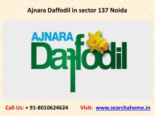 Ajnara Daffodil in sector 137 Noida