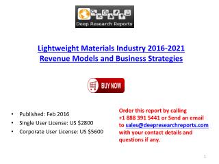 Lightweight Materials Industry 2016-2021 Revenue Models and Business Strategies