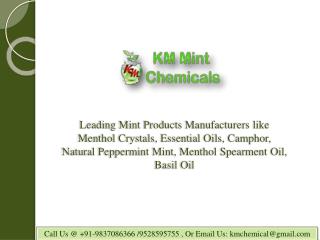 Camphor Manufacturers