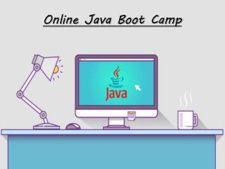 About Online Java Boot Camp