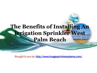 The Benefits of Installing An Irrigation Sprinkler West Palm Beach