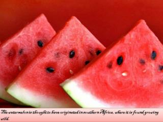 History of watermelon