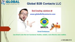 Brazil Business Email Database