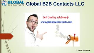 CEO BUSINESS EMAIL DATABASE