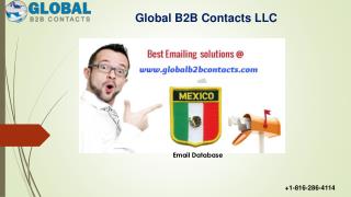 Mexico Business Email Database
