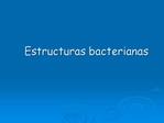 Estructuras bacterianas