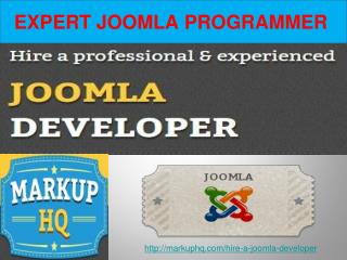 Expert Joomla Programmer