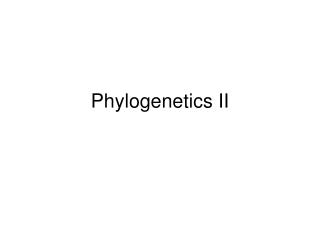 Phylogenetics II