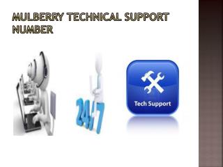 Mulberry email technical support number