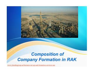 Composition of Company Formation in RAK