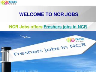 Freshers jobs in NCR