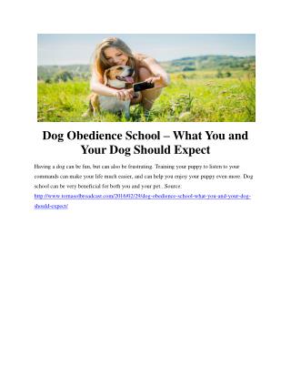 Dog Obedience School – What You and Your Dog Should Expect