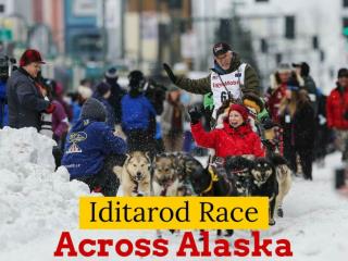 Iditarod race across Alaska