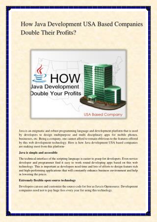 How Java Development USA Based Companies Double Their Profits?