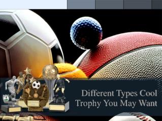 Different Types Cool Trophy You May Want