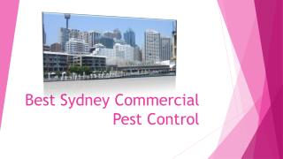 Best Sydney Commercial Pest Control