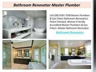 Bathroom Renovator Master Plumber