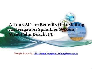 A Look At The Benefits Of Installing An Irrigation Sprinkler System, West Palm Beach, FL