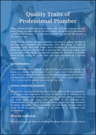 Quality traits of Professional Plumber