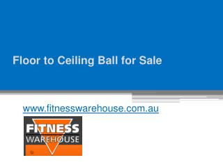 Floor to Ceiling Ball for Sale - www.fitnesswarehouse.com.au