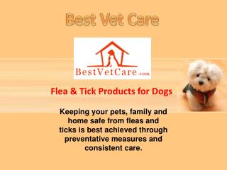 BestVetCare - Flea and Ticks Prevention