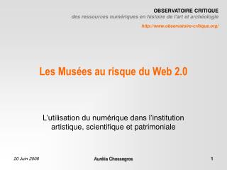 Les Musées au risque du Web 2.0