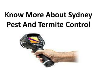 Know More About Sydney Pest And Termite Control