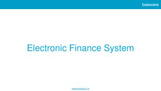 Electronic Finance System