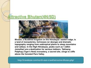 Attractive Bhutan(4N/5D)