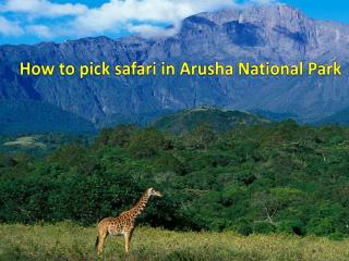 How to pick safari in Arusha National Park
