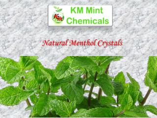 Natural Menthol Crystals Manufacturers