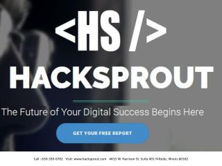 Hacksprout - Chicago website design and development
