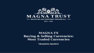 Magna forex