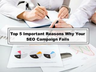 Top 5 Important Reasons Why Your SEO Campaign Fails