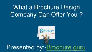 What a Brochure Design Company Can Offer You