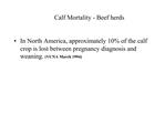 Calf Mortality - Beef herds