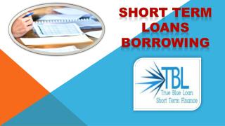 Short Term Loans Borrowing
