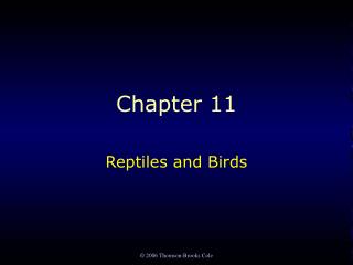 Chapter 11