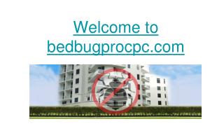 Bed Bugs Sunnyvale CA, Bed Bug Exterminator Sunnyvale CA, Bed Bug Control Sunnyvale CA, Bed Bug Inspections Sunnyvale C