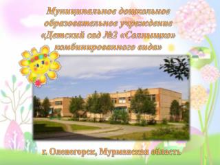 Информация о МДОУ № 2