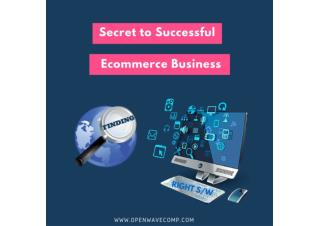 What makes Success to Ecommerce Business?
