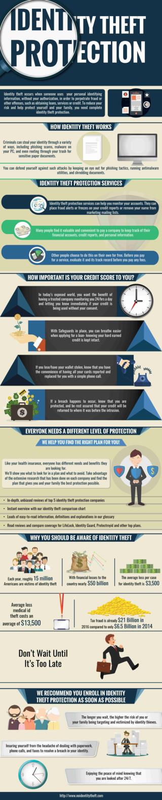 Identity Theft Infographic