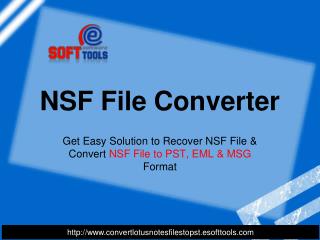 NSF File Converter