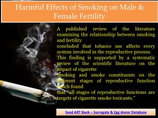 Harmful Effects Of Smoking on Male & Female Fertility