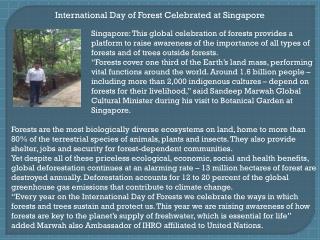 International Day of Forest Celebrated at Singapore