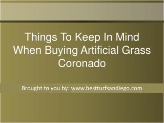 Things To Keep In Mind When Buying Artificial Grass Coronado